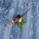 Decor "Winter Dreams" red yellow berries, 15 cm