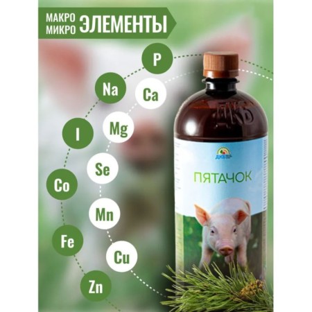 Additive with coniferous concentrate, for feed, 900 ml, "Piglet"-2