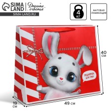 Gift package laminated, packaging, “package”, XL 49 x 40 x 19 cm