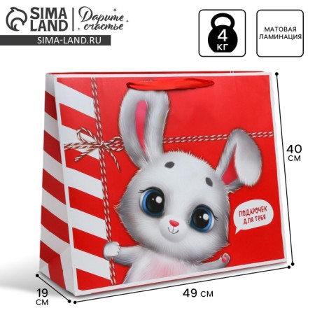 Gift package laminated, packaging, “package”, XL 49 x 40 x 19 cm