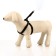 COMPORTS COMPORT COMBODY, 1.5 cm, Osh 36-50 cm, og 40-56 cm, black