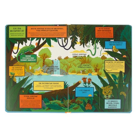 Book with windows "Jungle"-3