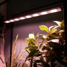 The LED linen luminaire. Spectrum for the photosynthesis Uniel, 100 watts, IP40, LED, 23x1050x74 mm, white color