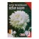 Flower seeds Astra Pionovid, white, 0, 2 g