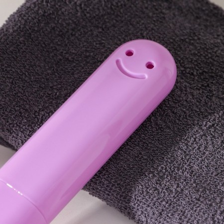 Case for the denture "Smile", 20 × 3 × 2 cm, color mix-1