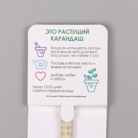 Growing gift pencils Mini "Basil"-2