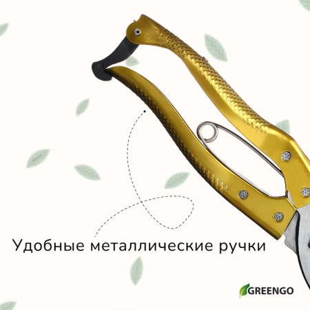 Planning Securiate Securitor, 8 "(20 cm), with metal pens, mix, Greengo-6