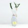 Seedling rose Shrab (bush) Pina Bausch, 1 pc, spring 2024