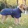 Popon for large dogs, membrane fabric, size 3xl (DS 51, Osh 50, OG 67-75 cm), blue