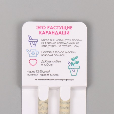 Growing gift pencils Mini "Mint and Paprika" set 2 pcs-2
