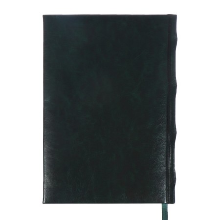 Dated diary 2024 A5 176 sheets, Devente.symbol, firm artificial leather cover, stamping foil, lies, cream block 70 g/m2, green-15