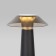Luminaire desktop Elektrostandard, Future Led 4 watts, 158x158x282 mm, IP44, black color