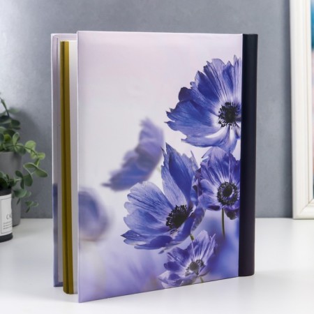 Photo album 30 magnetic sheets (60 steers) "Blue Flowers" 23x28 cm-1