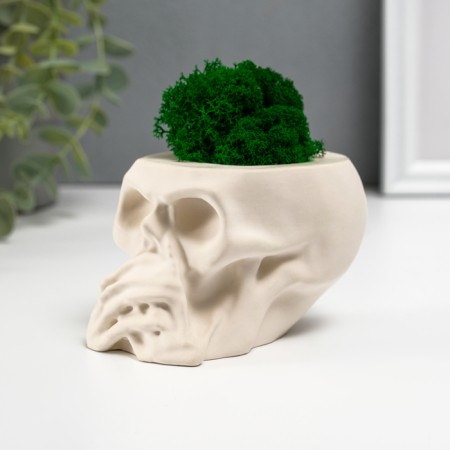 Kashpo concrete "Skull Silence" with moss 6.5x10 cm white (moss green stabilized)-2