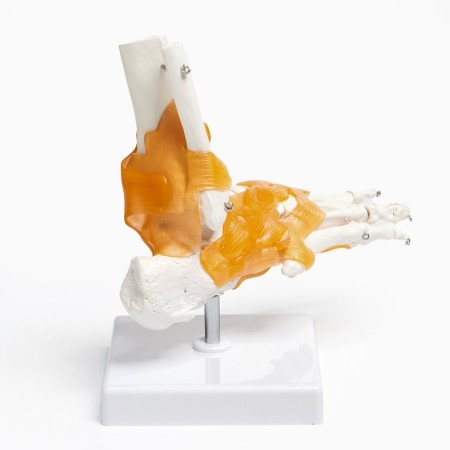 Matcage "Guplno -Star Joint" 21*20cm-8
