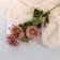 Artificial flowers "Chrysanthemum Color Galant" 10x60 cm, pink