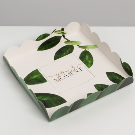Cookie box, confectionery packaging with PVC lid, “eco”, 18 x 18 x 3 cm-2