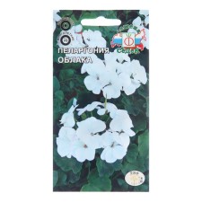 Flower seeds Pelargonium 