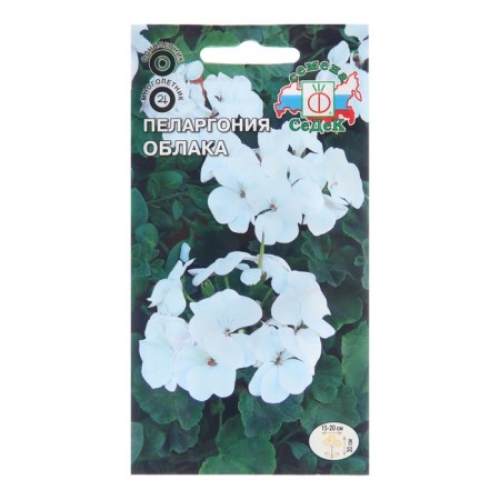 Flower seeds Pelargonium "Clouds", Euro, 5 pcs