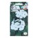 Flower seeds Pelargonium "Clouds", Euro, 5 pcs