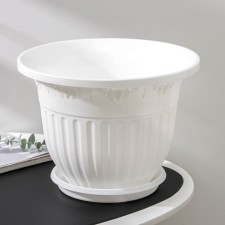 Pot with the Podon 