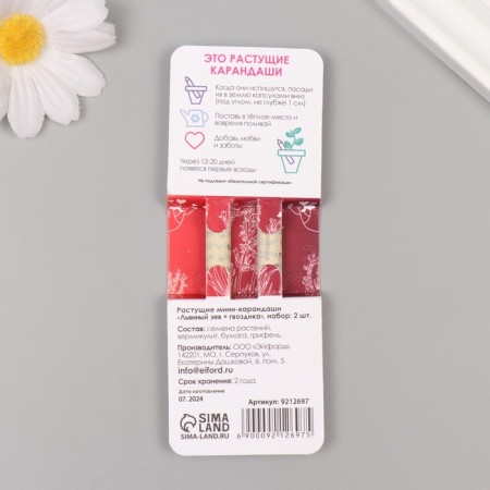 Growing gift pencils Mini "Lion Zev + Clove" set 2 pcs.-1