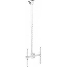 Arm Media LCD-1700, up to 55 kg, 26-65, ceiling, slope, white