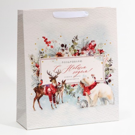 Laminated vertical package “Congratulations to you”, m 30 x 26 x 9 cm, New Year-1
