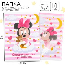 Folder for birth certificate, 1 file 21x30 cm, Minnie Mouse