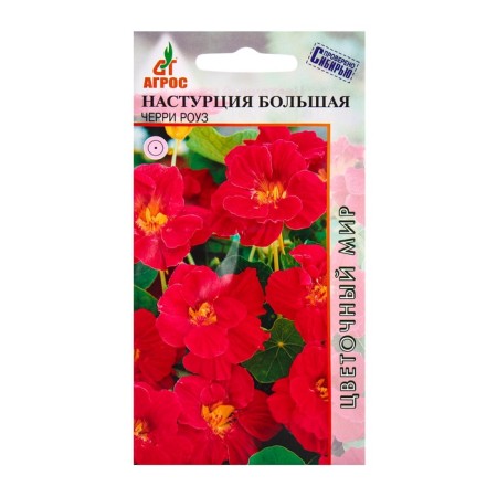 Seed nastraturius Big Cherry Rose 1g*