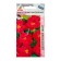 Seed nastraturius Big Cherry Rose 1g*