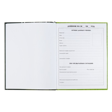 Universal diary for grades 1-11, "football", solid cover 7BC, glossy lamination, 40 sheets-4