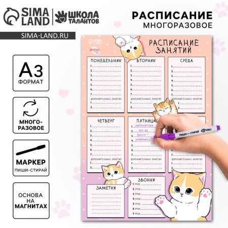 The schedule of the Lesson "Funny Kotiks" A3, reusable magnetic with marker
