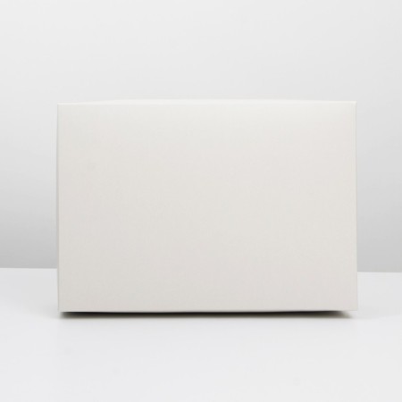 Gift folding box, packaging, "beige", 30 x 20 x 9 cm-4