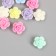 Busina for creativity velvet spraying "Rosochka. Delicate shades" 1x1.4x1.4 cm