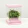 Box for flowers with a vase and PVC windows are folding, pink, 16 x 23 x 16 cm