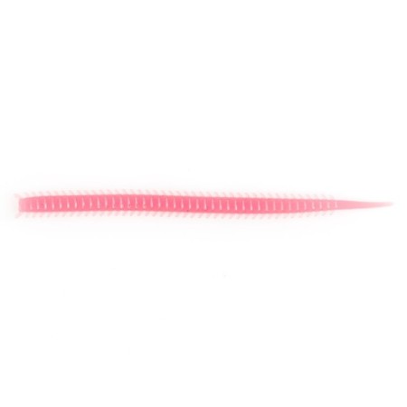 Enough artificial worms LJ Salty Sensation Sandworm 4.0in (10.16)/F05 15pcs.-1