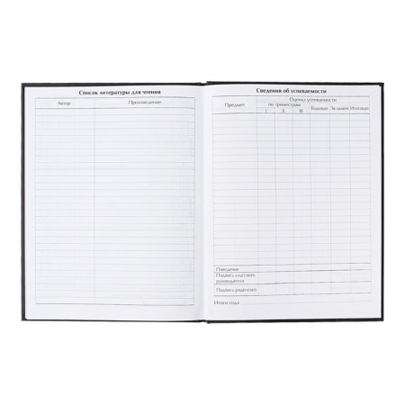 Universal diary for grades 1-11, Street Sport, solid cover 7BC, matte lamination, foil embossing, 40 sheets-8