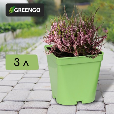 Pot for seedlings, 3 l, d = 16 cm, h = 16 cm, green, greengo