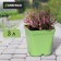 Pot for seedlings, 3 l, d = 16 cm, h = 16 cm, green, greengo