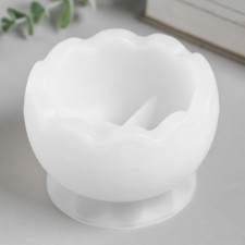 Mold Silicon 