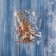 Christmas tree decoration "Flower tree with a flower" 16x10 cm, gold