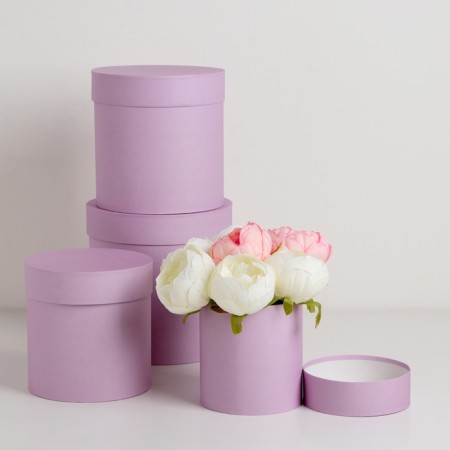 Set of hats 4 in 1 "Light Lilac" 20 × 20 x 20 –13 × 13 cm