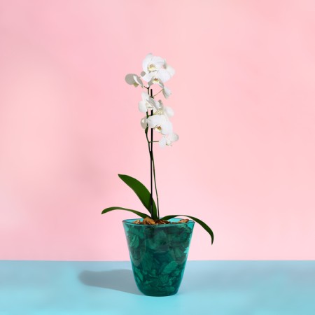 Pot for orchids, 2.5 l, 16.4 × 18.5 cm, plastic, transparent-turquoise-2