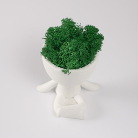 Kashpo concrete mini "Mr. Green on Chile" with moss white 6.5x6x6.5 cm (moss green stabilis)-4