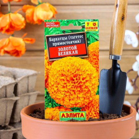 Flower seeds of marigold "Golden Giant", o, 0.1 g