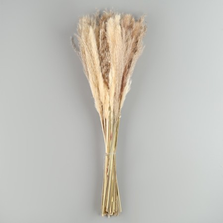 Bouquet of dried flowers "amazement" height 47 cm.-2