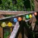 Sadovaya garland on the solar battery "Blood" Uniel, IP44, 1.8 m, warm white