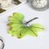 Decor for creativity "Birch Birch" Autumn (1 set = 1 bouquet) in the bouquet 12 pcs