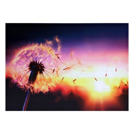 Picture on canvas "Dandelion at sunset" 50*70 cm